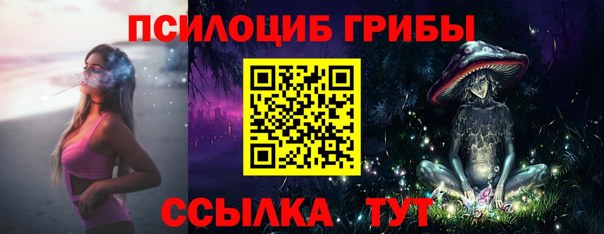 Псилоцибиновые грибы Psilocybine cubensis Качканар