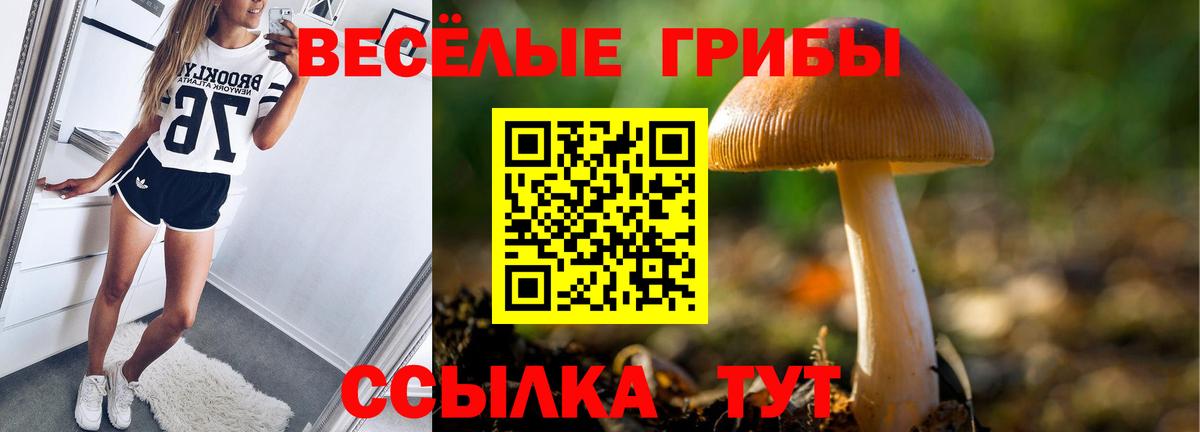 как найти закладки  Вход с VPN  Качканар  Псилоцибиновые грибы Psilocybe 
